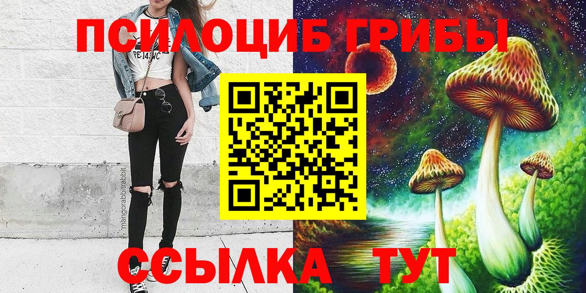 наркошоп  Вход с VPN  Псилоцибиновые грибы мицелий  Энгельс  Псилоцибиновые грибы Cubensis 