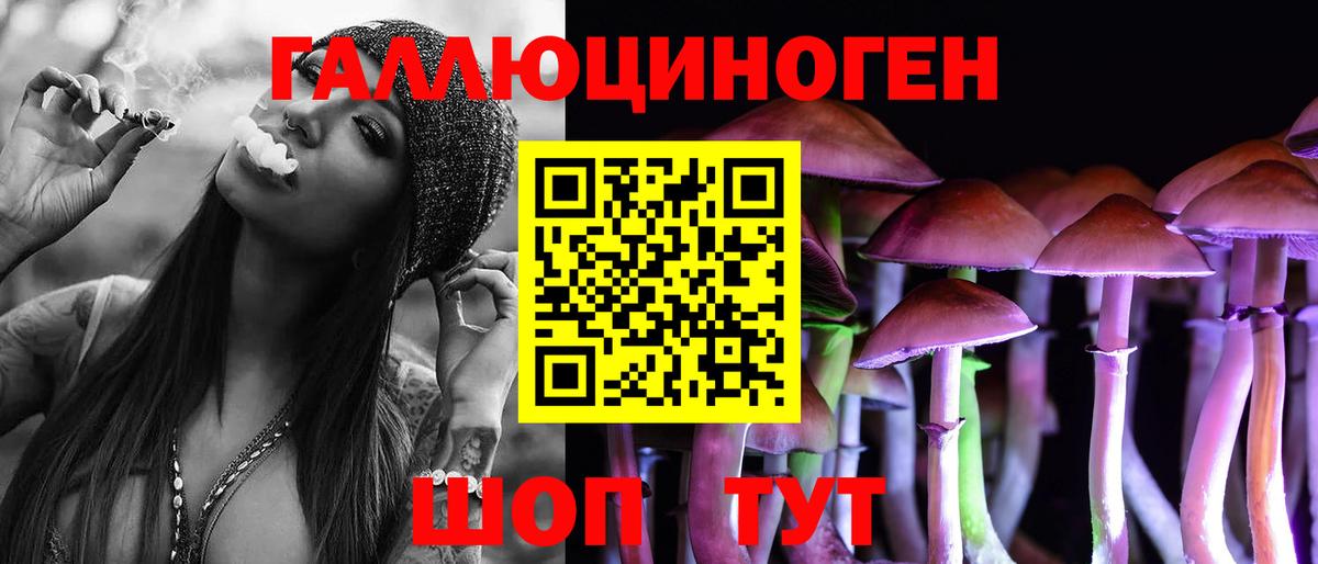 Псилоцибиновые грибы Psilocybine cubensis Энгельс